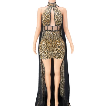 Seksikas Etapp Litrid Leopard Printida Silma Trailing Kleit Naiste Õõnes Sünnipäeva Celebriate Õhtul Kleit Laulja Show Lava Kanda