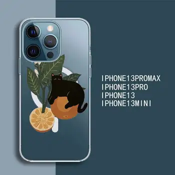 must kass ja taimede lehed Läbipaistev Magsafe Magnet Magnet telefoni Puhul iPhone ' i Jaoks 13 12 11 Pro Mini Max
